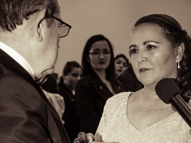El matrimonio de Hernan y Violeta en Lo Barnechea, Santiago 15