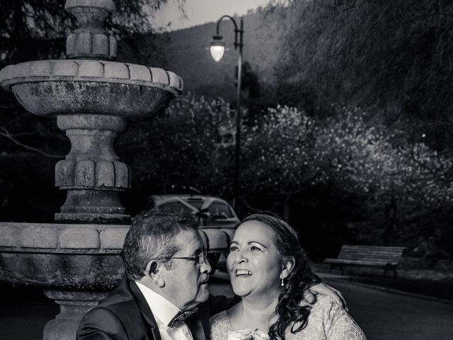 El matrimonio de Hernan y Violeta en Lo Barnechea, Santiago 29