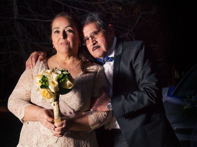 El matrimonio de Hernan y Violeta en Lo Barnechea, Santiago 30