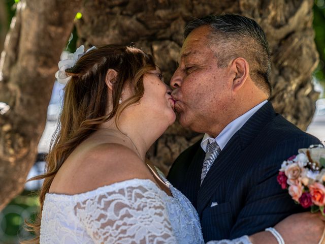 El matrimonio de Miguel y Carola en San Fernando, Colchagua 31