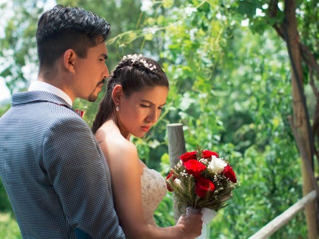 El matrimonio de Freddy y Eileen en Pumanque, Colchagua 12