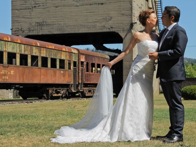 El matrimonio de Fabián y Galina en Temuco, Cautín 19