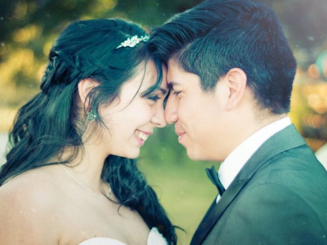 El matrimonio de Sebastián y Francisca en Villarrica, Cautín 7