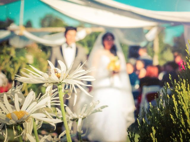 El matrimonio de Sebastián y Francisca en Villarrica, Cautín 14