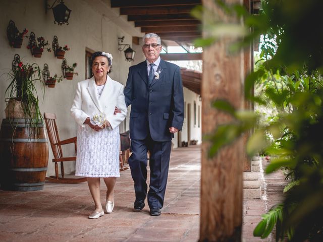 El matrimonio de Alicia y Juan en Ovalle, Limarí 8