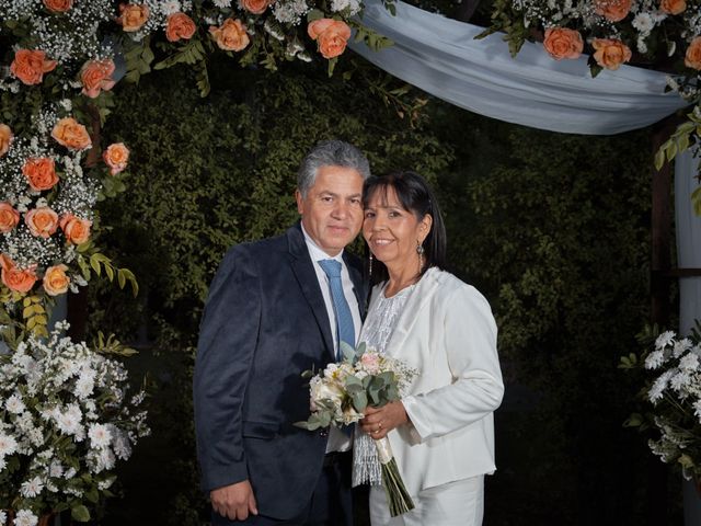 El matrimonio de Patricio y Andrea en Talca, Talca 16