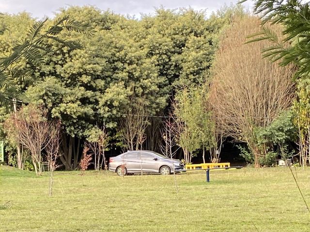 El matrimonio de Jorge y Macarena  en Los Ángeles, Bío-Bío 17