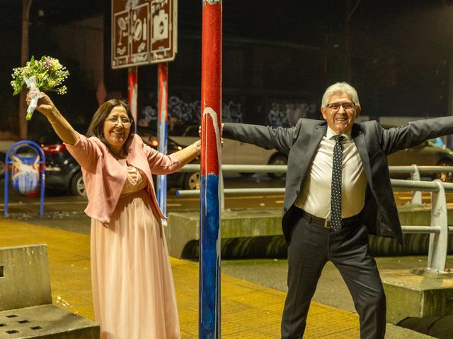 El matrimonio de Patricio y Rosa en Puerto Montt, Llanquihue 48