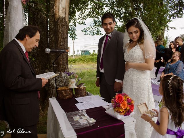 El matrimonio de Gonzalo y Pamela en Temuco, Cautín 16