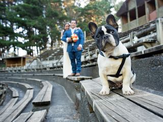 El rol de su perro el día del matrimonio