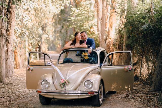 Valentina y Patricio Fotografía 4