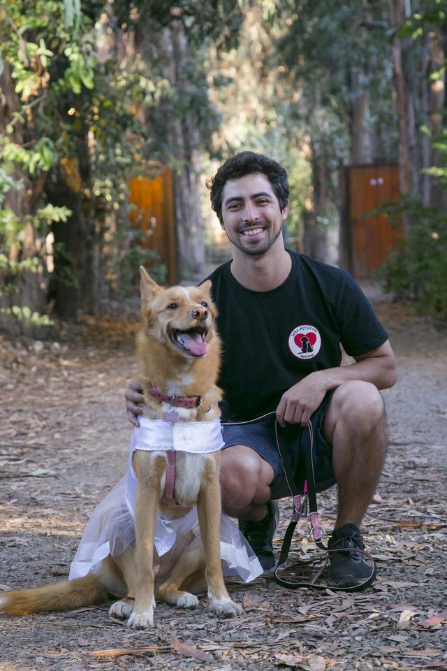 Seba Petsitter - 2