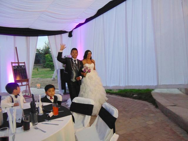 Carpas y Eventos Varas - 2