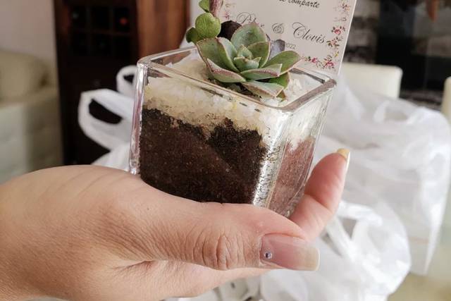 Cactus Tu Souvenir 2