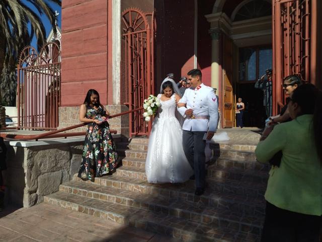 Alta Flor - 1