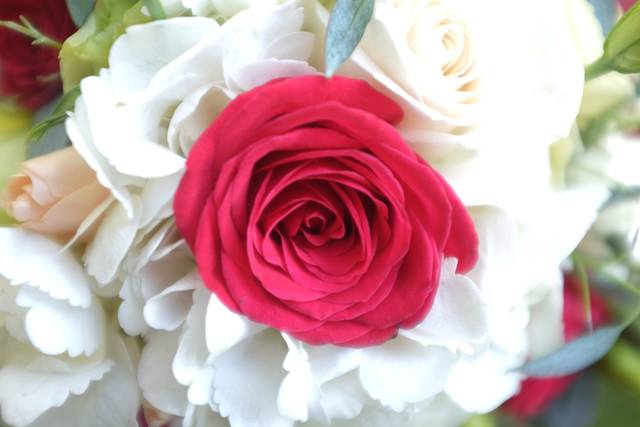Florería Rosamor 4