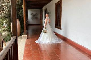 Pulpería Del Carmen 3