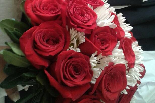Flores Quillota 2