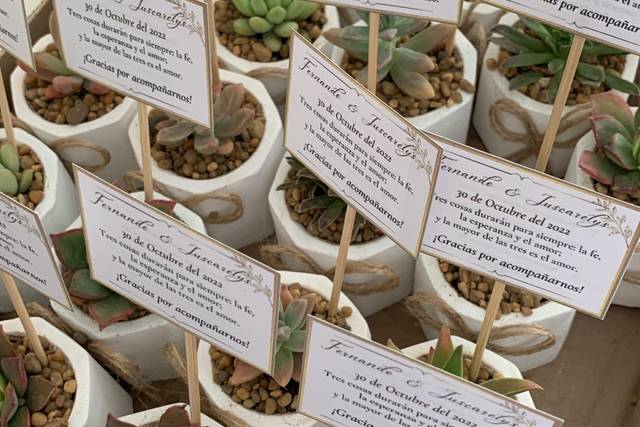 Cactus Suculovers 5