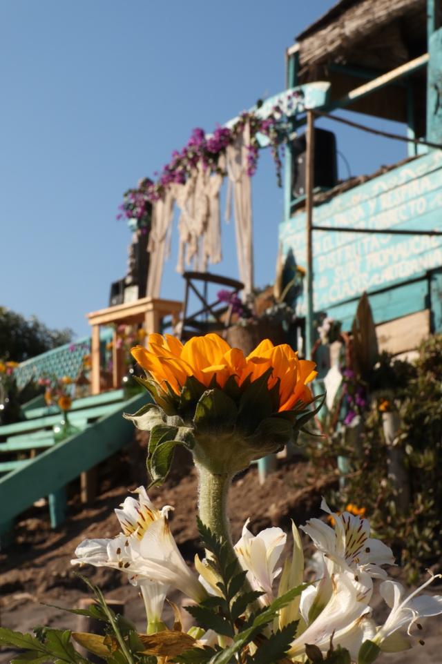 JG Eventos Pichilemu - 2