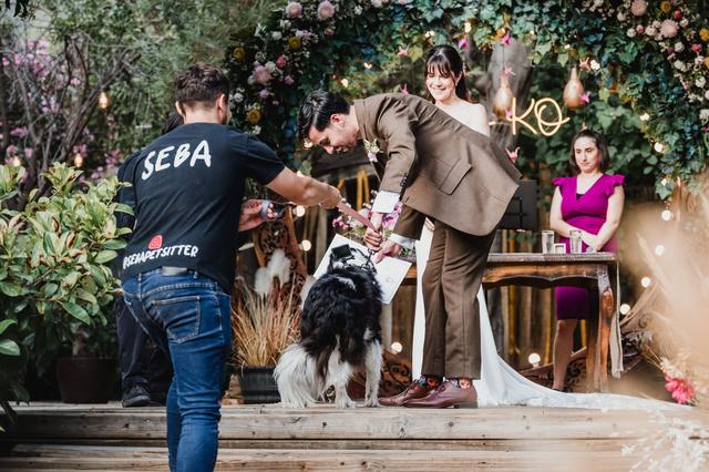 Seba Petsitter - 4