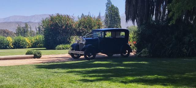 Franco Classic - 4