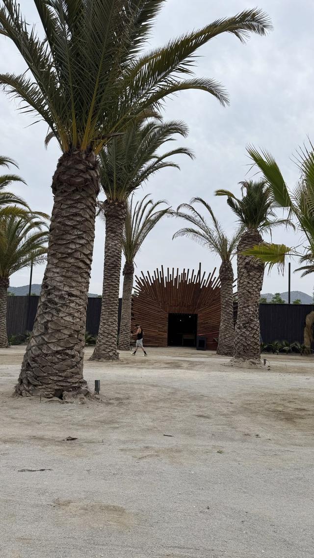 Entre Nogales - 2