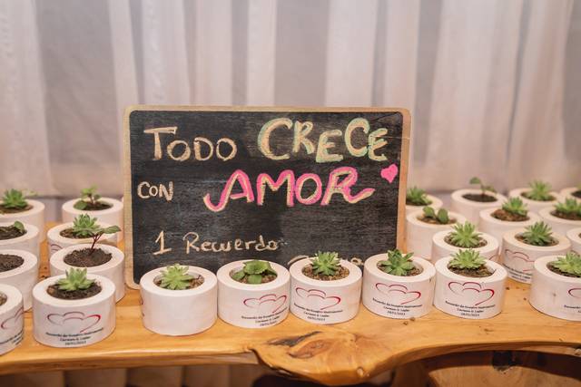 Parque Holanda 5