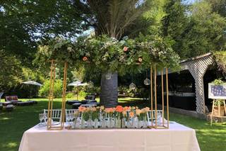 Feel Eventos 4
