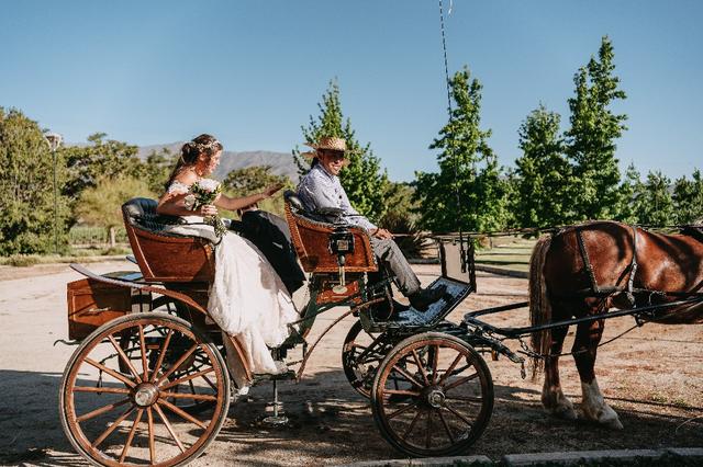 Coche de Caballo - 1
