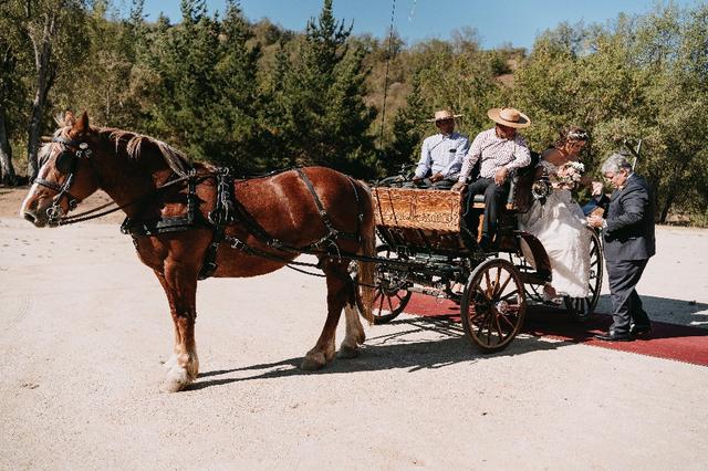 Coche de Caballo - 3