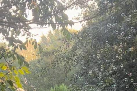 Rancho Curanadú 1