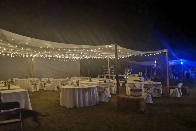 Proal Eventos 2