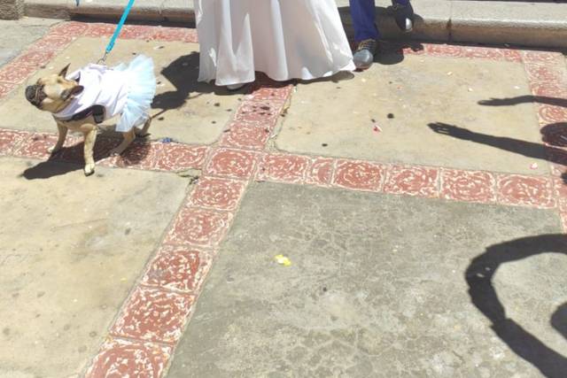 Aura Eventos 2