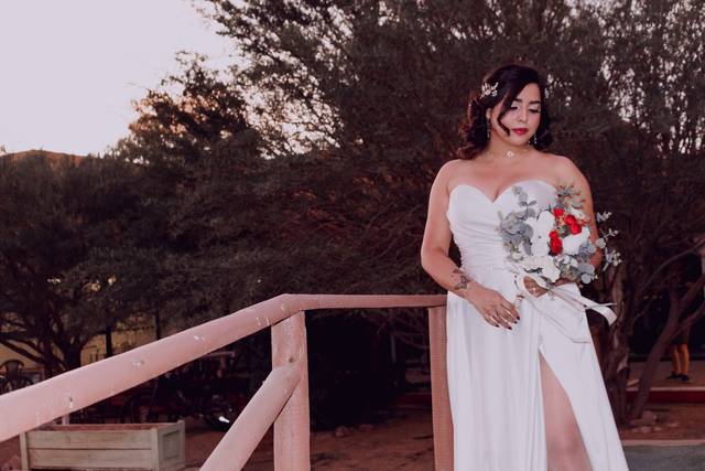 Miami Novias 5