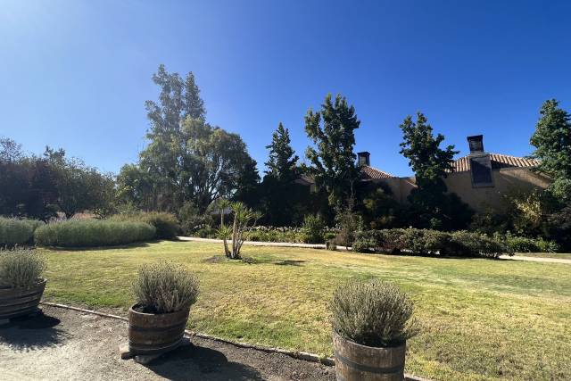 William Cole Vineyards 3