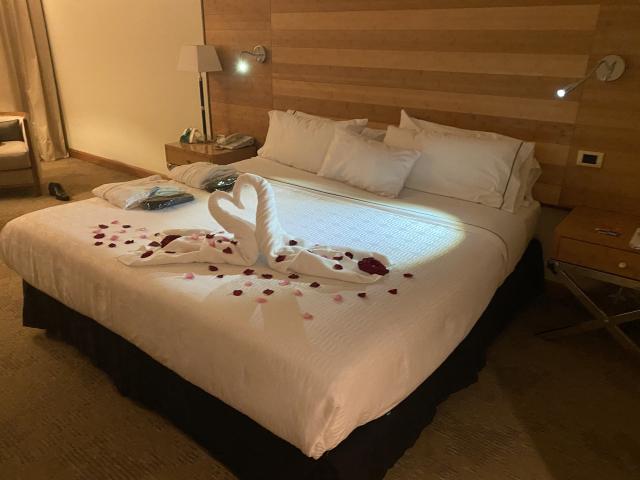 Sonesta Hotel Osorno - 4