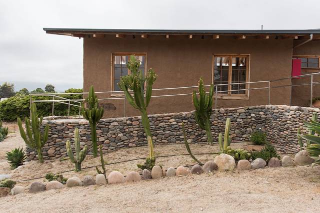 Tamango Elqui 1