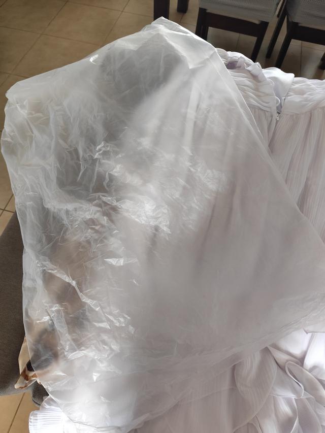 Élégance Novias - 2