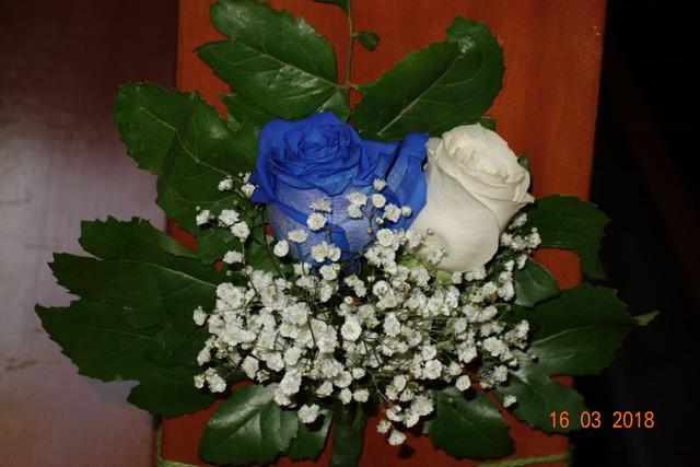 Decoflores - 3