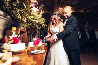 Premier Novias Vestidos 5