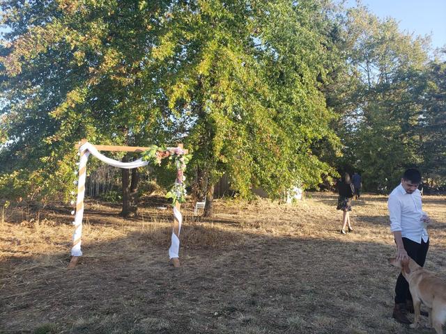Elegant Chiavari - 4