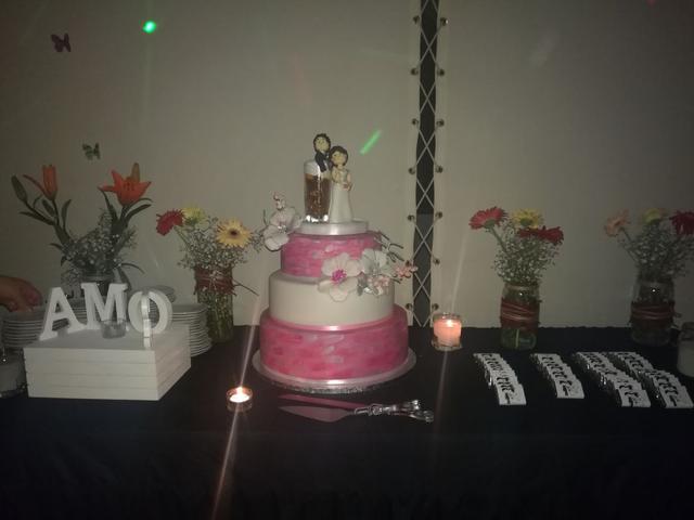 Eventos Euforia - 4