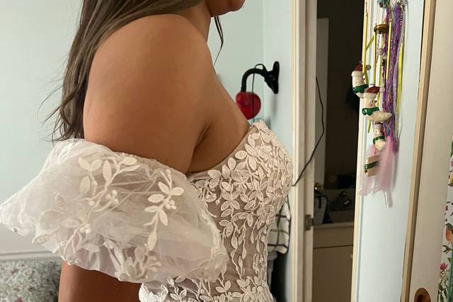 Miami Novias 1