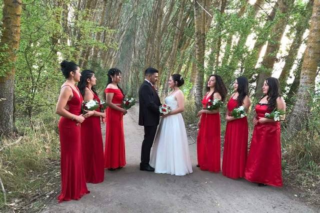 Centro de Eventos Hamara 1