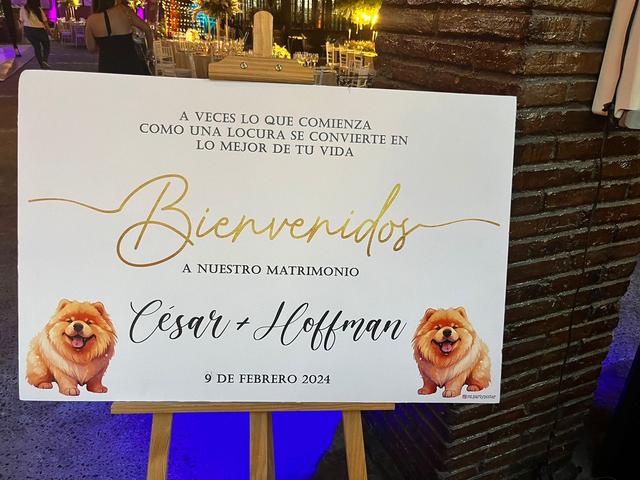 Mi Party Poster - 4