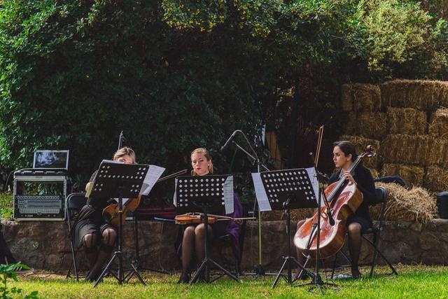 Cuarteto Venus - 3