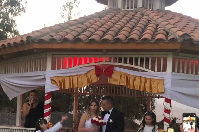 Espacio Bustos 2