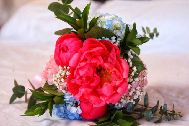 Photo Bodas Premium 2