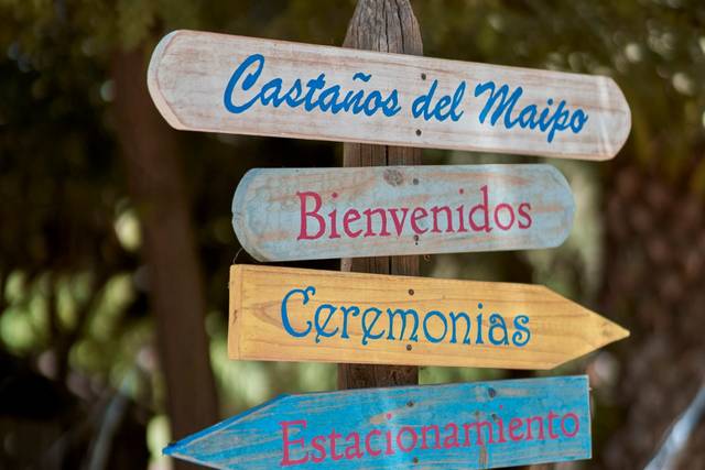 Castaños del Maipo 2